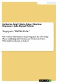 Singapurs "Midlife-Krise" (eBook, PDF)