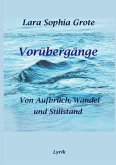 Vorübergänge (eBook, ePUB)