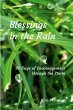 Blessings in the Rain - Bild 1