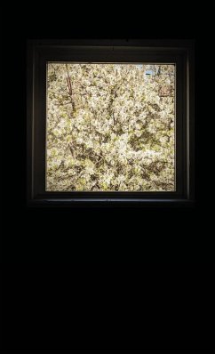 Cover The Bell That Rang For Nobody