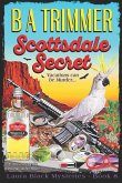 Scottsdale Secret: a fun, romantic, thrilling, adventure...