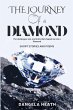 The Journey of a Diamond - Bild 1
