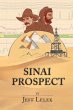 Sinai Prospect - Bild 1