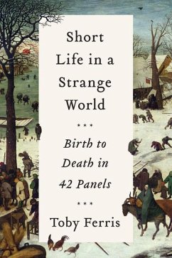 Short Life in a Strange World: Birth to Death in 42 Panels - Ferris, Toby