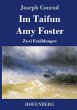 Im Taifun / Amy Foster - Bild 1