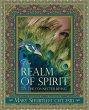 The Realm of Spirit - Bild 1