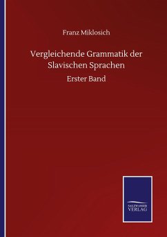 Vergleichende Grammatik der Slavischen Sprachen - Miklosich, Franz