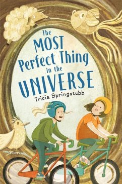 The Most Perfect Thing in the Universe - Springstubb, Tricia