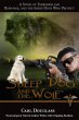 Sheep Dog and the Wolf - Bild 1