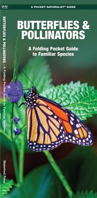 Butterflies & Pollinators - Kavanagh, James