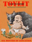 Toylit Q1/Q2 2010 Report Toylit Q1/Q2 2010 Report