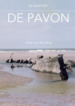 De ramp met de Pavon - Van Den Berg, Pieter