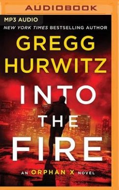 Into the Fire - Hurwitz, Gregg