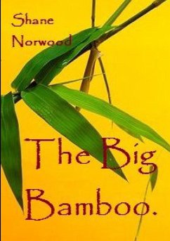 The Big Bamboo - Norwood, Shane