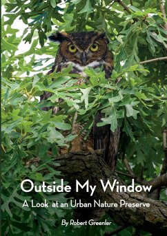 Outside My Window - Greenler, Robert