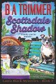 Scottsdale Shadow: a fun, romantic, thrilling, adventure...