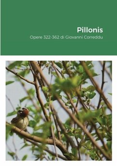 Cover Pillonis