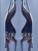 Greyhound Greyhound