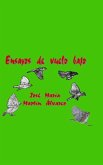 Ensayos de vuelo bajo Ensayos de vuelo bajo