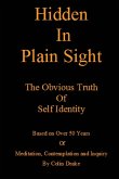 Hidden in Plain Sight