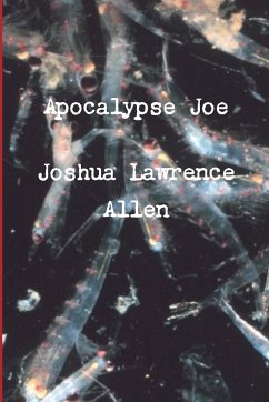 Apocalypse Joe