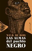 Las almas del pueblo negro (eBook, ePUB)