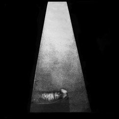 Cover Erector (Legacy Re-Issue)