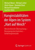 Hanginstabilitäten der Alpen im System &quote;Hart auf Weich&quote;