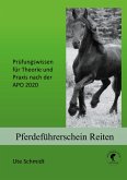 Pferdeführerschein Reiten