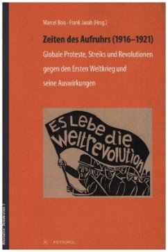 Cover Zeiten des Aufruhrs (1916-1921)
