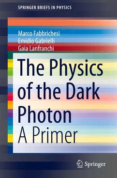 The Physics of the Dark Photon - Fabbrichesi, Marco;Gabrielli, Emidio;Lanfranchi, Gaia