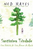 Santíssima Trindade (1) (eBook, ePUB) Santíssima Trindade (1) (eBook, ePUB)