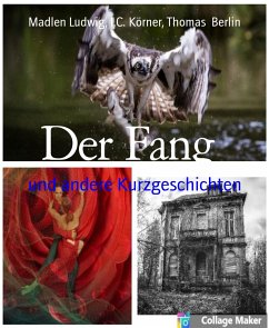 Der Fang (eBook, ePUB) - Ludwig, Madlen; Körner, I. C.; Berlin, Thomas