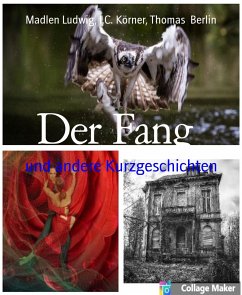 Der Fang (eBook, ePUB) - Berlin, Thomas; Körner, I.C.; Ludwig, Madlen