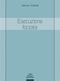 Esecuzione forzata (eBook, ePUB)