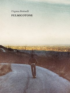 Fulmicotone (eBook, ePUB) - Bettinelli, Virginia