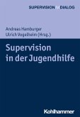 Supervision in der Jugendhilfe (eBook, PDF)