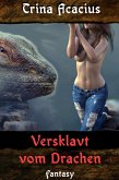 Versklavt vom Drachen (eBook, ePUB)