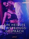 Ein heißes Bewerbungsgespräch: Erotische Novelle (eBook, ePUB)