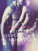 Heißer Geburtstag in Norwegen: Erotische Novelle (eBook, ePUB)