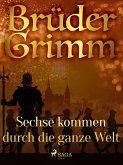 Sechse kommen durch die ganze Welt (eBook, ePUB)