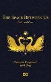 The Space Between Us (eBook, ePUB)