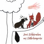 Zwei Eichhörnchen auf Entdeckungsreise