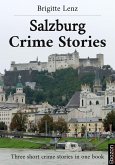 Salzburg Crime Stories (eBook, PDF)