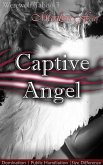 Captive Angel (eBook, ePUB)