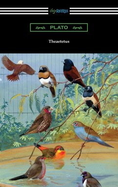 Cover Theaetetus (eBook, ePUB)