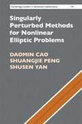 Singularly Perturbed Methods for Nonlinear Elliptic Problems - Cao, Daomin (Chinese Academy of Sciences, Beijing); Peng, Shuangjie; Yan, Shusen