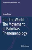 Into the World: The Movement of Pato¿ka's Phenomenology