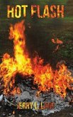 Hot Flash (eBook, ePUB)