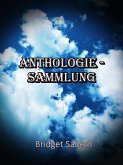 Anthologie-Sammlung Bridget Sabeth (eBook, ePUB)